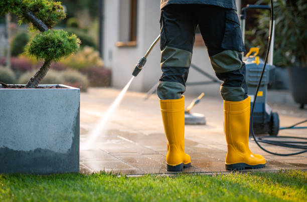 Best Gutter Cleaning in Piney Green, NC